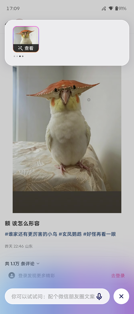 zbr4vbNir8Otcq80.jpg