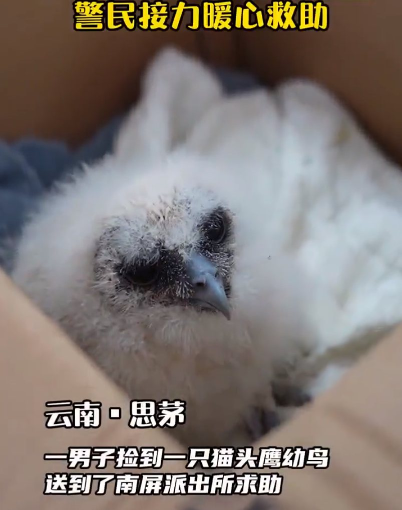 CPvkJPjUUE7j2ejT.jpg