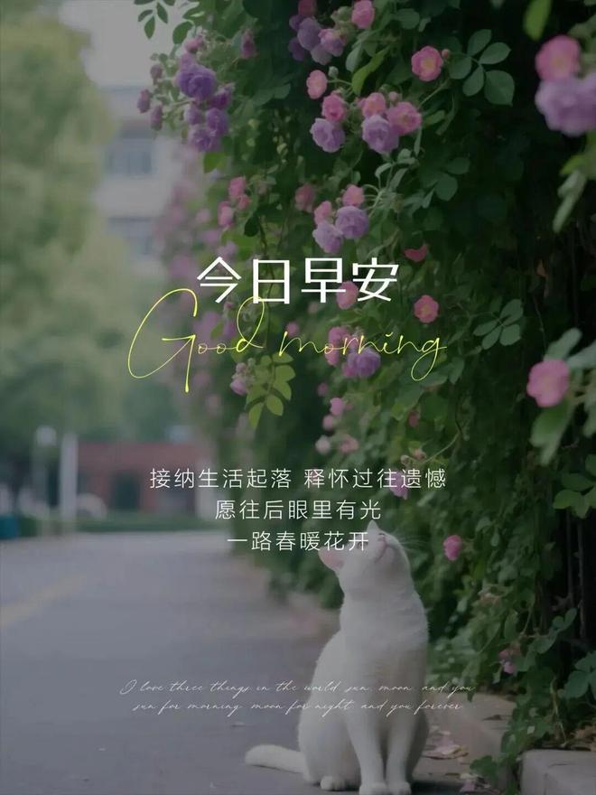 wJlfLoUT41f1Ol29.jpg