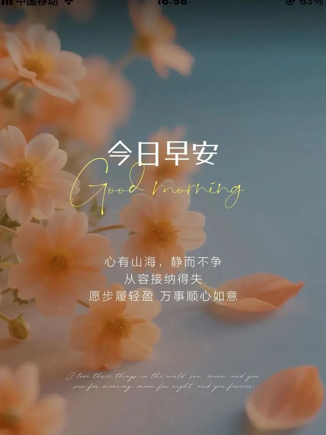 J077zW33860C7O00.jpg