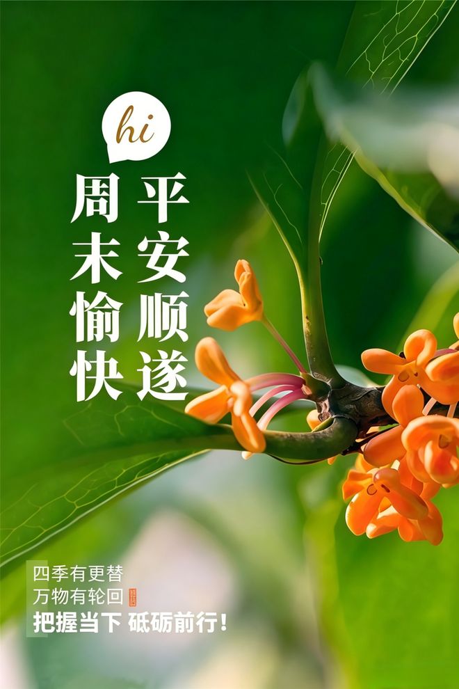 a66J4d1d62V16jVf.jpg