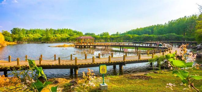 LqA1PnFFp0PFpUQA.jpg