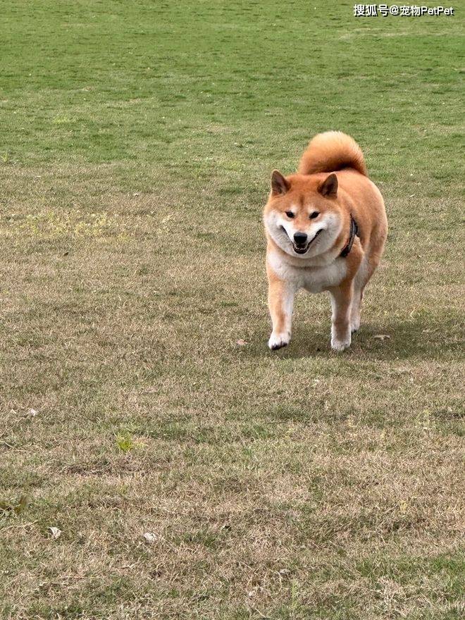TBHygqChy9rUU0uc.jpg