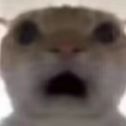 E8ud1fb3B1JK4Mr8.jpg