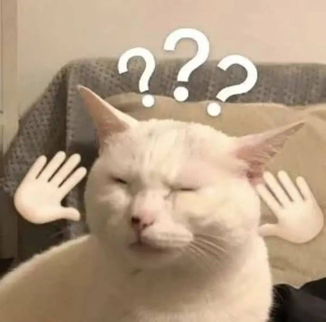DUOkB211c2UfOsSf.jpg