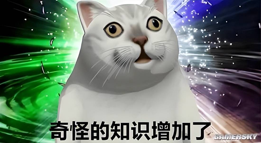 dr8KPYkOAr8yBqxN.jpg