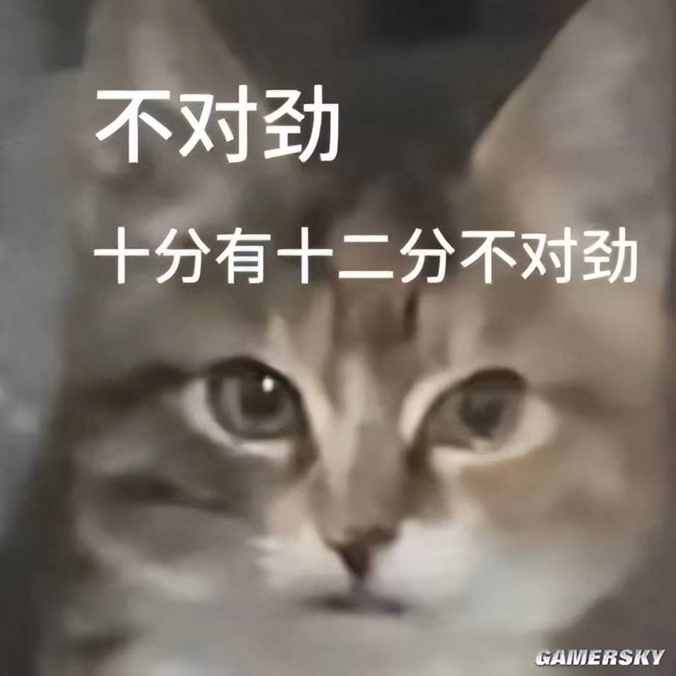 j6xoeY9yTYWT9FXp.jpg