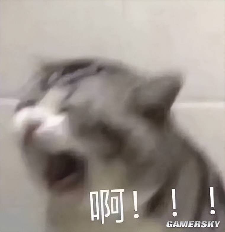 N34w22Gc6j2B0B2f.jpg