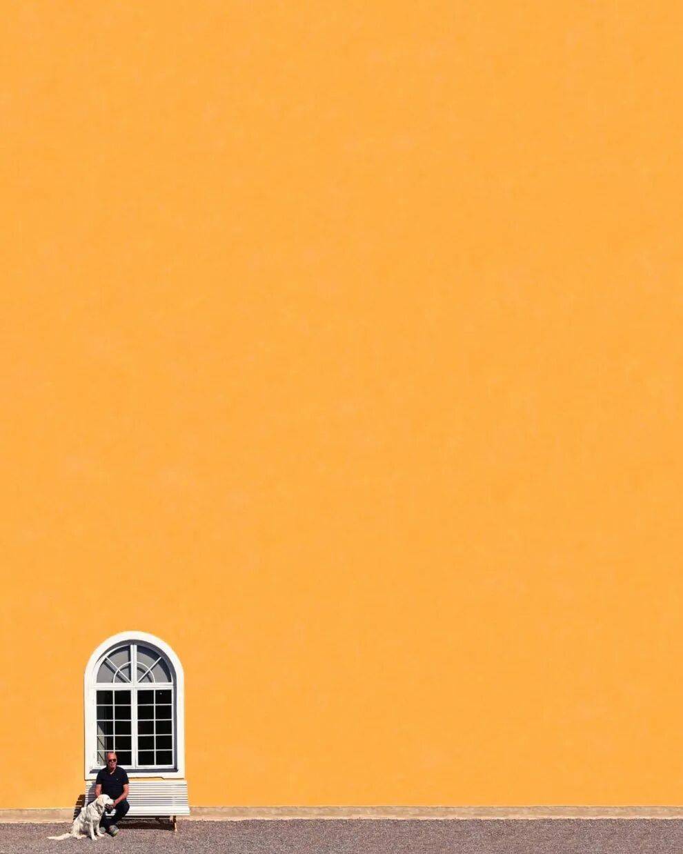 r5ei6cE00hi6K5px.jpg