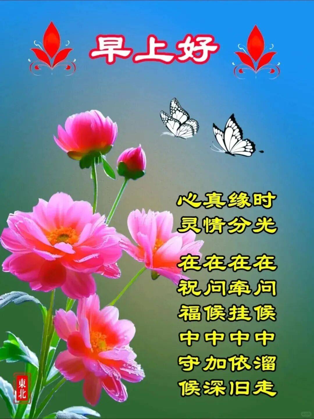 PL9ItvJd8DDbu8TO.jpg