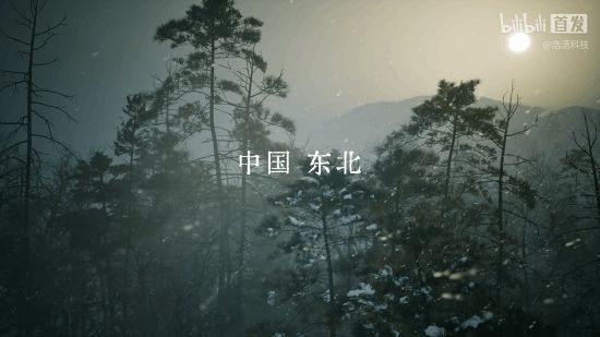 hb88hbbF8VBnHV92.jpg