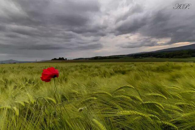 t5ltKLHygZE4mG8G.jpg